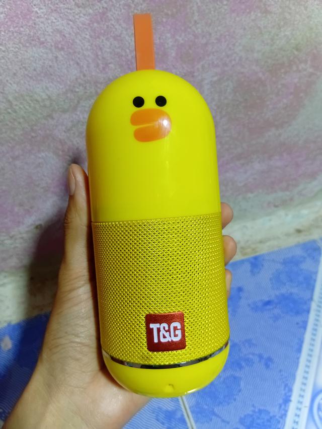 ลำโพงบลูทูธ T&G