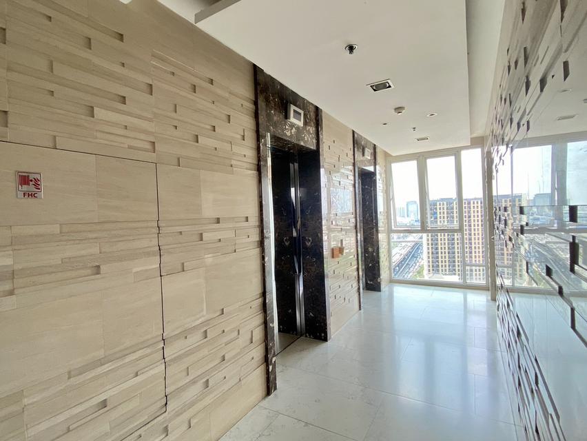 Condominiums ivy pinklao 10