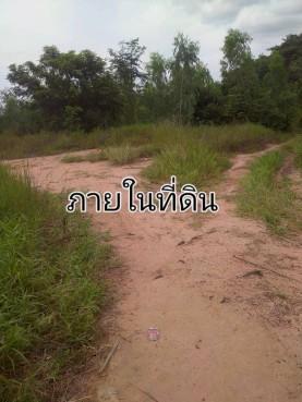 ขายที่ดิน 42 ไร่ ติดถนนมิตรภาพ อ.บ้านไผ่ ขอนแก่น หน้ากว้า170 เมตร 8