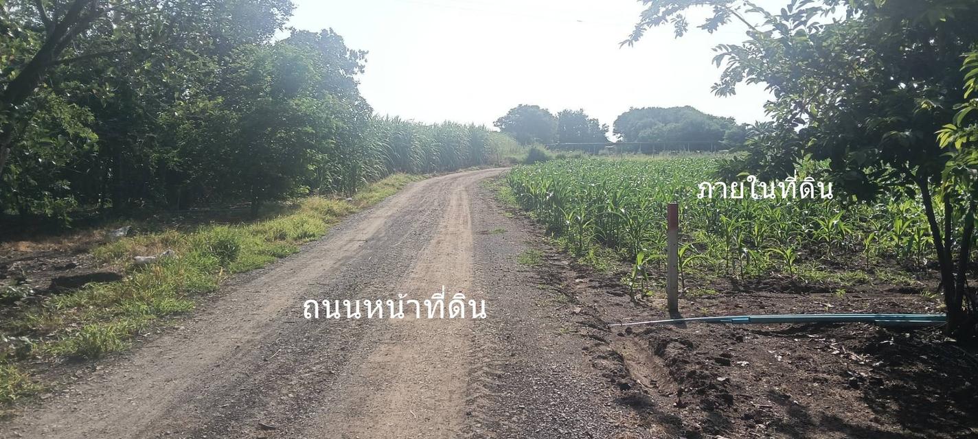 ขายที่ดิน 8 ไร่ อ.พระพุทธบาท สระบุรี ไร่ละ 3 แสน 3