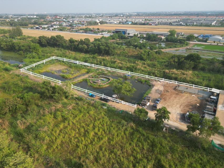 ที่ดินคลอง 4 อ.คลองหลวง จ.ปทุมธานี 1