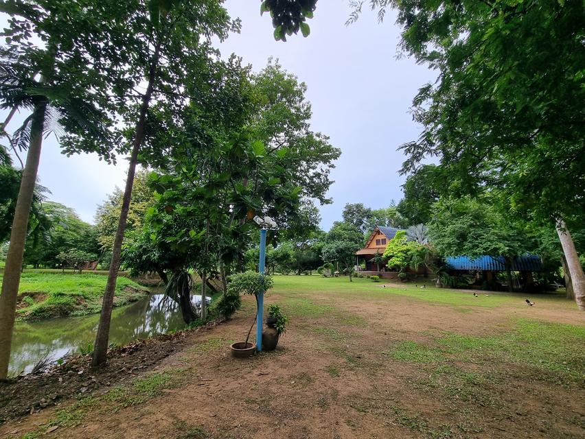 บ้านสวน ทำเลทอง ติดลำคลองธรรมชาติ ใกล้หาดบ้านอำเภอ บางเสร่ จอมเทียน 3