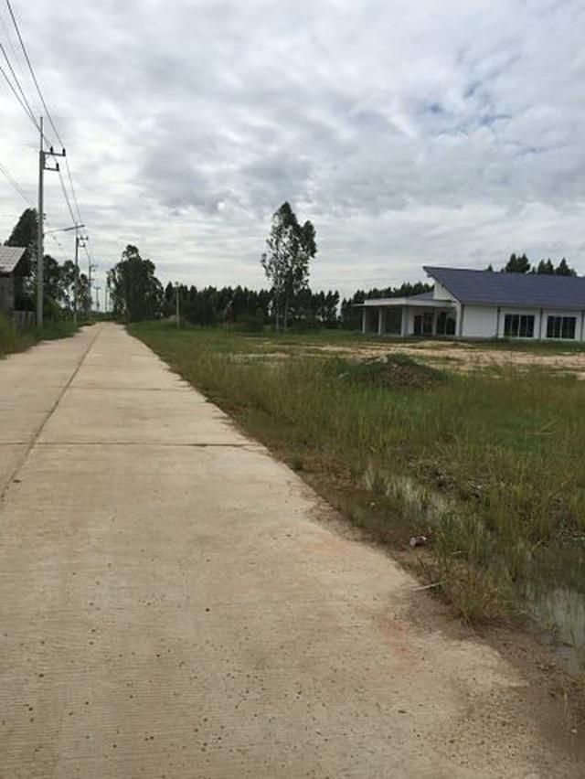 Large land 4 Rais with New House for sale Chonburi very peac 2