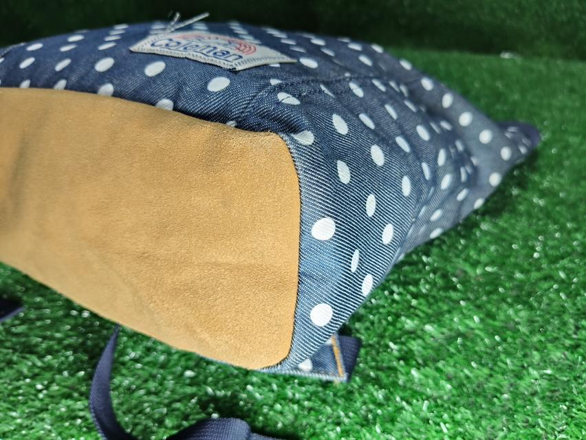 Coleman Dot Series Backpack รูปที่ 6