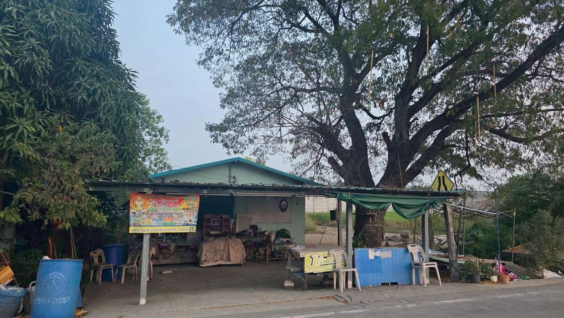 4/4 ม.6 ถ.โรงเรียนบ้านคลองเจ้าเมือง ต.คลองพระอุดม อ.ลาดหลุมแก้ว จ.ปทุมธานี 5