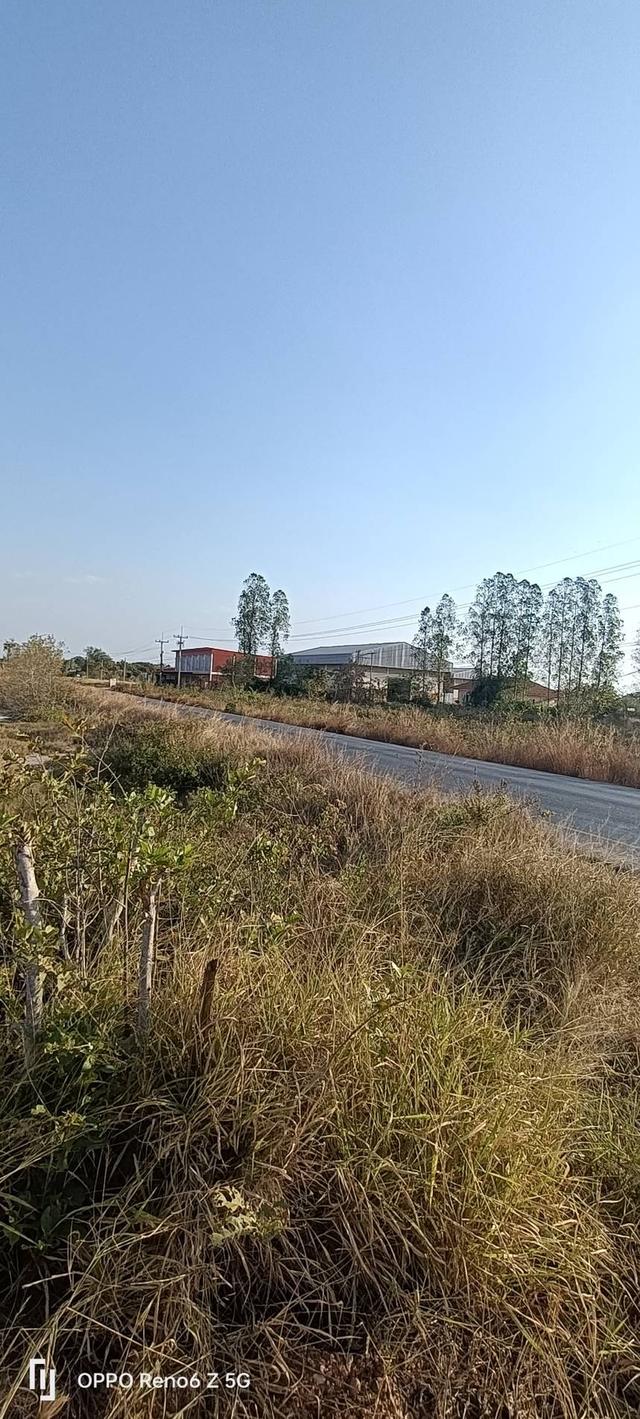 ที่ดินว่างเปล่าติดถนนดำและถนนสาธารณประโยชน์ 2