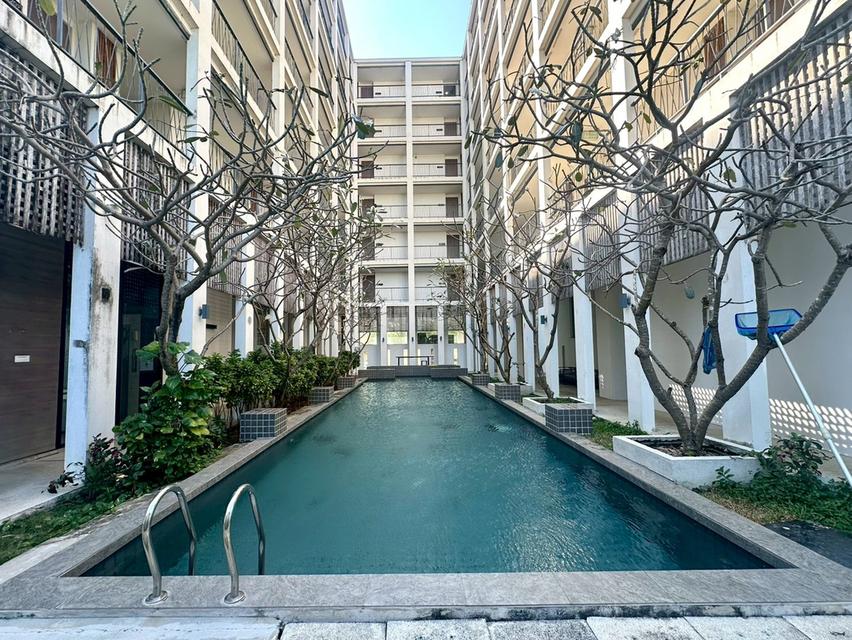 ขายถูกมาก  ไลท์สเตจ คอนโด Light Stage Condominium เอแบคบางนา  ห้องมุม ขายพร้อมผู้เช่า 7