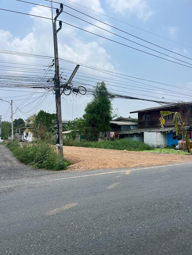 ขายที่ดินบึงกาสาม 200 ตรว. คลอง11 ใกล้ถนนเส้น3022-1.5กม. อ.หนองเสือ จ.ปทุมธานี 5