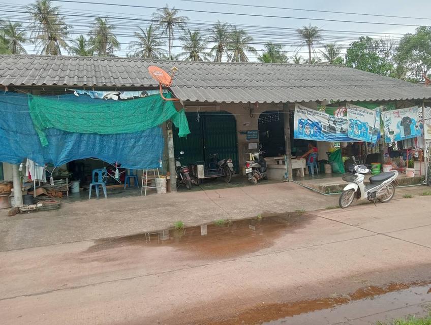 ประกาศขายห้องเช่าจำนวน 10 ห้อง ต.ท่ายาง อ.เมือง จ.ชุมพร 2