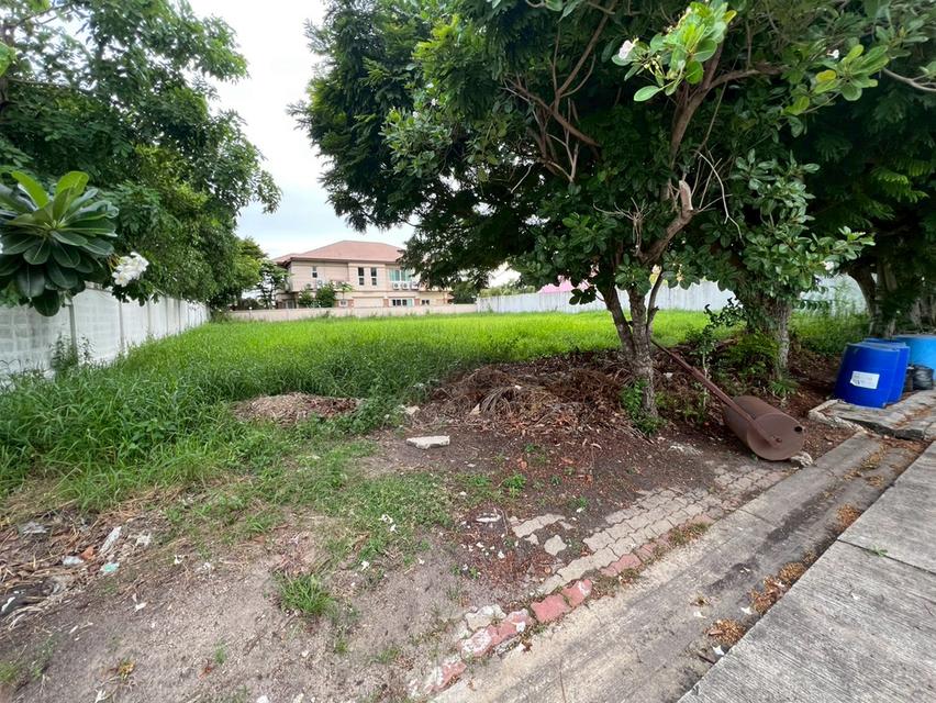 ขายที่ดินเปล่าถมแล้ว หมู่บ้านกรีนวัลเล่ย์ บางนา-ตราด กม.15 แปลงสวย ทำเลดี พร้อมสร้างบ้าน 4