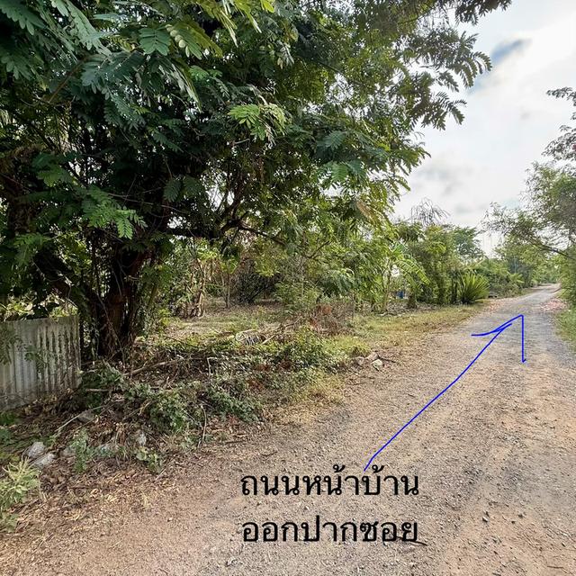 ที่ดินสวย ใกล้สน. ประชาสำราญ หนองจอก 5