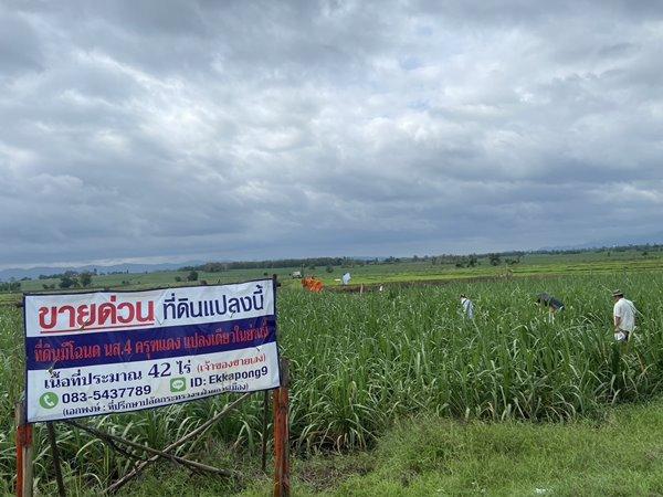 ด่วน ขายที่ดินแม่สอด-ห้วยกระโหลก จำนวน 42 ไร่ (ที่ดินมีโฉนด นส. 4 ครุฑแดงแปลงเดียวในย่านนี้)