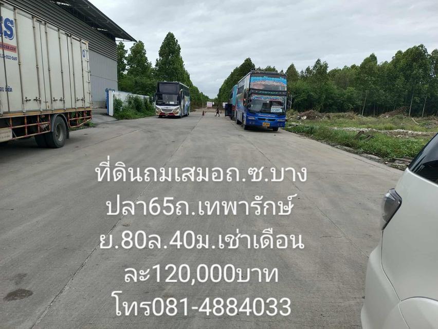 ขายและให้เฃ่าที่ดินถมแล้วติดถนนคอนกรีตกว้าง20เมตรทำได้ทุกธุรกิจหรืออาศัย 5