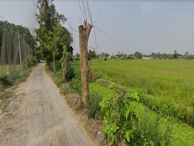 PM14 ขายที่ดิน 40 ไร่ โพธาราม ราชบุรี  ทำเลดี แหล่งชุมชน ใกล้แยกบางแพ ตำบลวัดแก้ว อำเภอบางแพ จังหวัด ราชบุรี 2