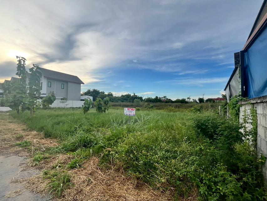 ที่ดินเปล่า ถมแล้ว ใกล้มหาวิทยาลัยธรรมศาสตร์ศูนย์รังสิต ถนนเชียงราก ต.เชียงรากใหญ่ อ.สามโคก จ.ปทุมธานี 4
