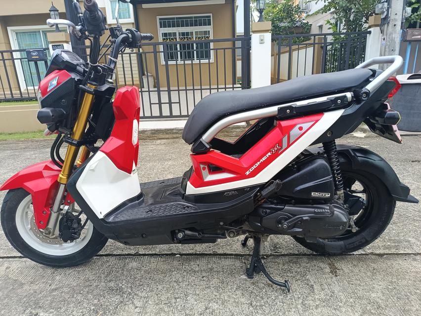 Zoomer -x  19