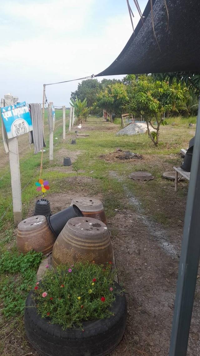 ที่ดินพร้อมปลูกสร้าง​บ้าน​ ไม่ไกล​ความเจริญ​ ที่บึงน้ำ​รักษ์​ 15
