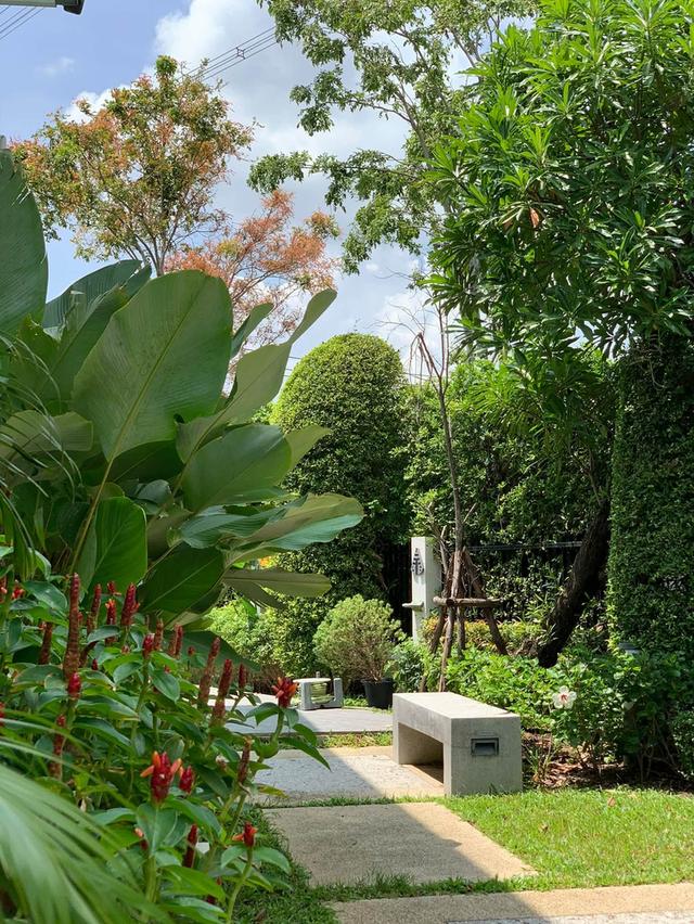 ขายเช่าหมู่บ้าน Blue lagoon 2 (บ้าน pool villa ) 4