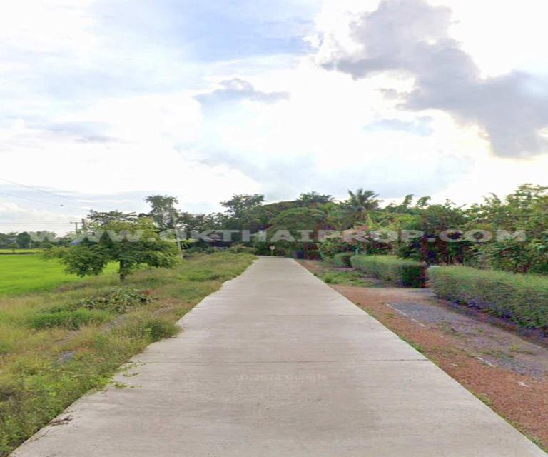 ที่ดิน ถ.ทล.ชนบทพิจิตร3016 ต.วังสำโรง อ.บางมูลนาก จ.พิจิตร 8