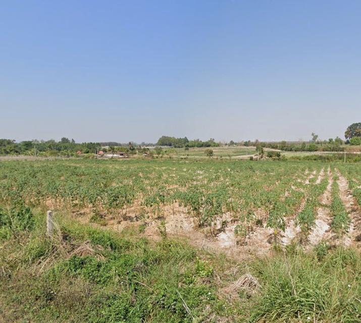 ขายที่ดินบ่อกวางทอง 81 ไร่ ติดถนน2ด้าน ใกล้ถนนเส้น3340-2กม. อ.บ่อทอง จ.ชลบุรี 6