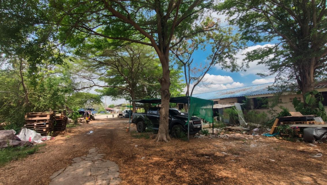 ที่ดินทำเลทอง ใกล้สนามบินสุวรรณภูมิเพียง 15 นาที ติดถนนวัดศรี จ.สมุทรปราการ 8
