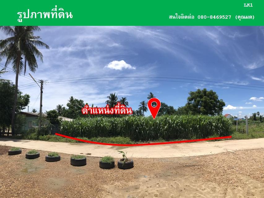 ขายที่ดินหนองลานพระแท่น(น้ำไม่ท่วม) 5