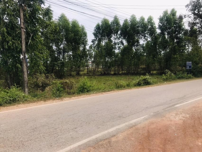 ที่ดินเปล่า ในจังหวัดอุดรธานี 4