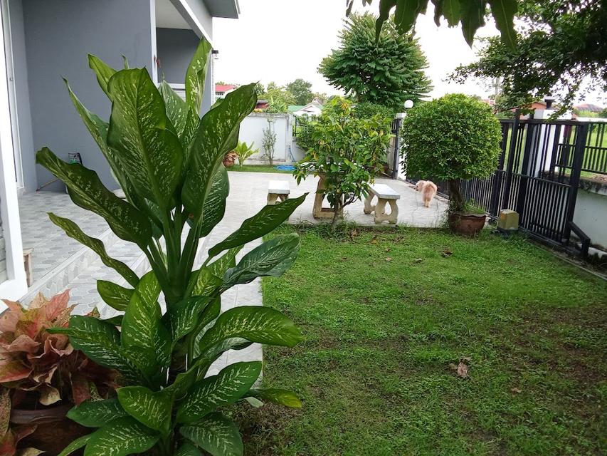 บ้านเดี่ยว 2ชั้น 3นอน 4น้ำ อยู่สันกำแพง เชียงใหม่ 3