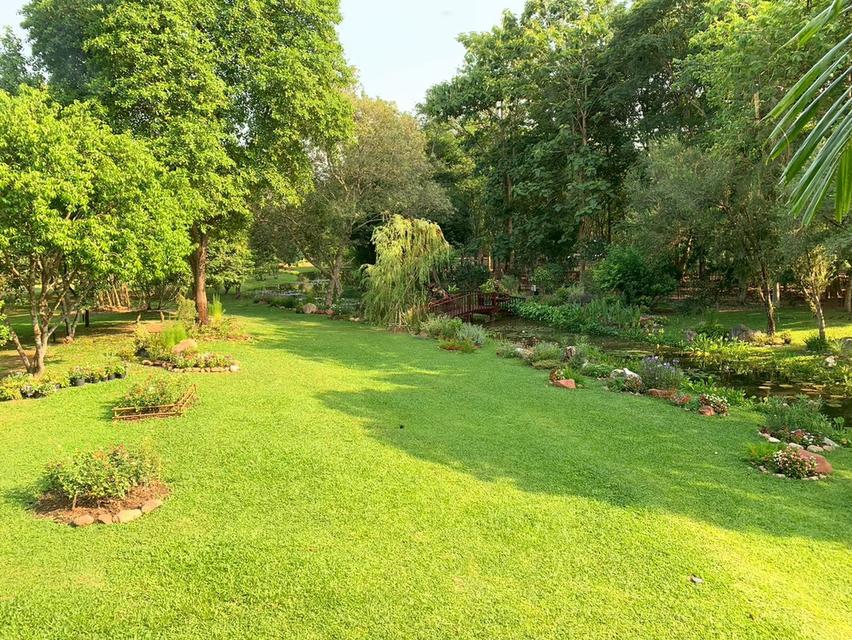 ขายที่ดินพร้อมสิ่งปลูกสร้าง บ้านไม้สักพร้อมสวน 20 ไร่ 2 งาน 59 ตร.ว. ทิศใต้ติดเนินเขา ชะอม แก่งคอย สระบุรี 7