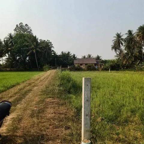 ขาย ที่ดินเปล่า 150 ตร.วา ทำเลดี ราคาคุ้ม ตำบลสร้อยฟ้า อำเภอโพธาราม จังหวัดราชบุรี 7