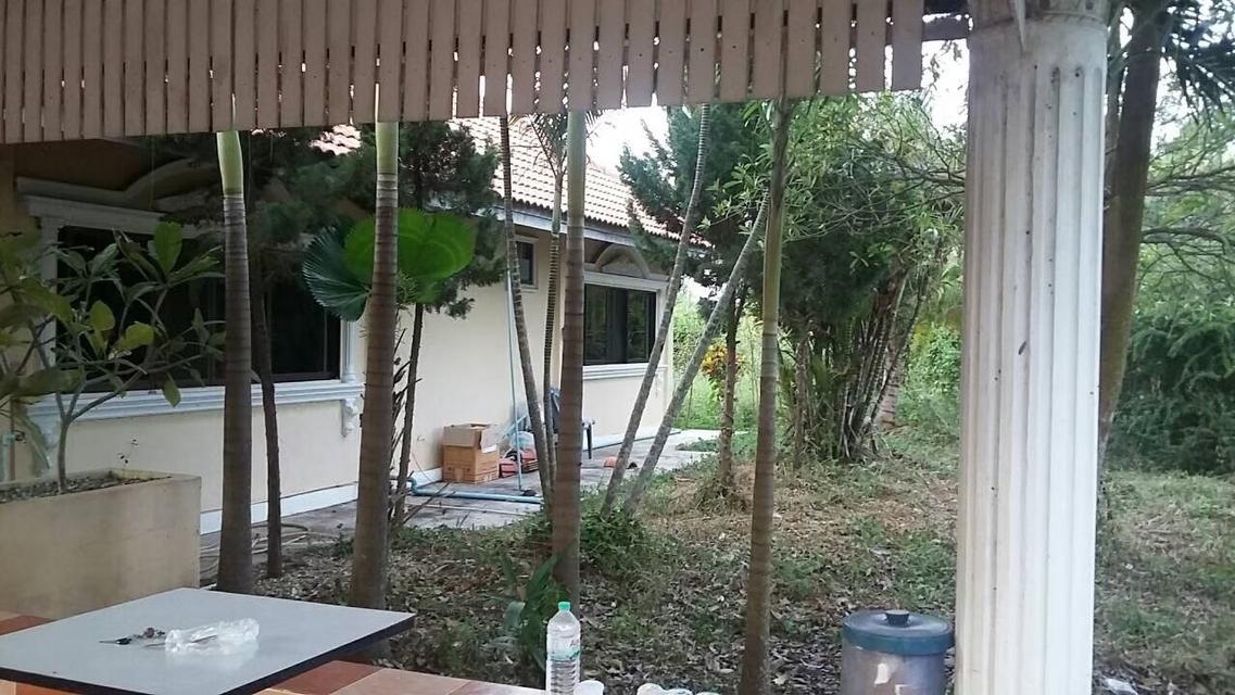 ที่ดินพร้อมบ้าน จังหวัด ลำพูน อำเภอเมือง 17