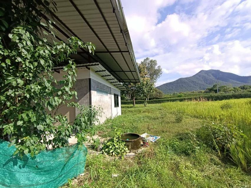 ที่ดิน จังหวัดเชียงใหม่ อำเภอแม่ออน 14