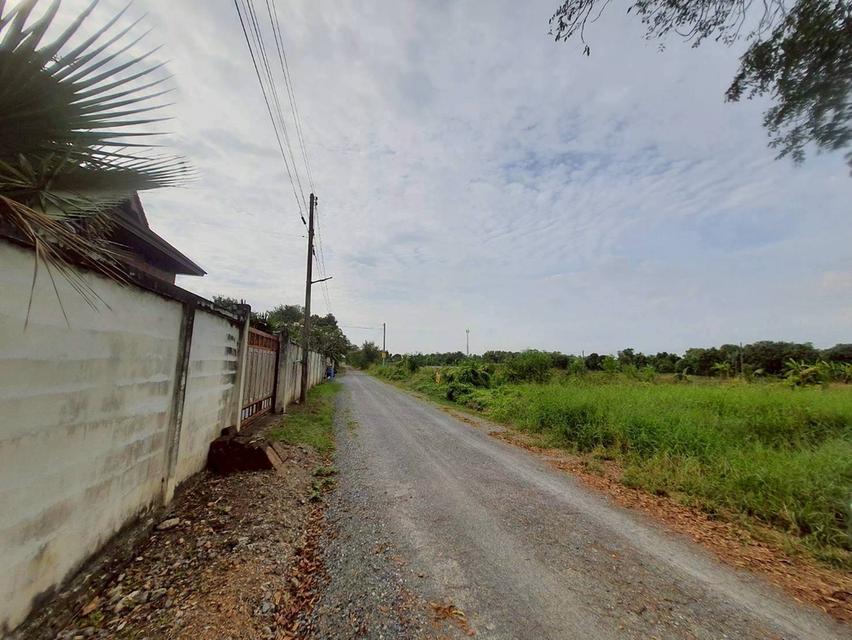 Vายถูกที่ดินคลองหก 520 ตารางวา ติดถนนสาธารณะซอย คลองหก ตต.31/1 อ.คลองหลวง จ.ปทุมธานี 4