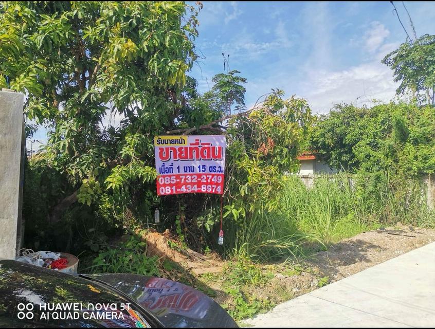 ที่ดินเปล่า 115 ตารางวาที่สัตหีบ รูปที่ 10