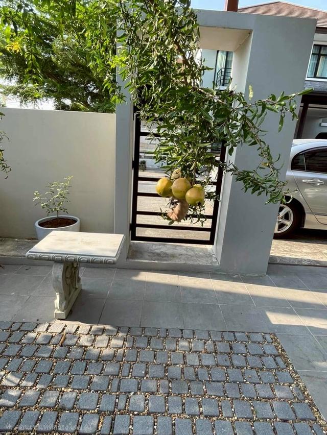 หมู่บ้านพรีมีโอ (บ้านหัวมุม) 15