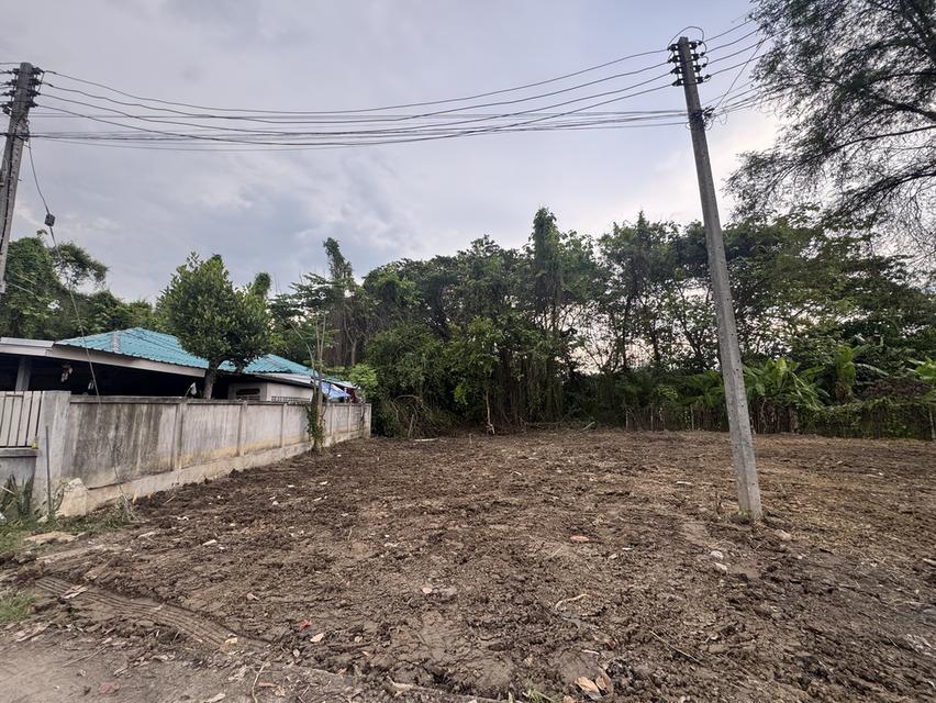 ที่ดินเปล่า 180 ตรว. น้ำพร้อม ไฟพร้อม  2