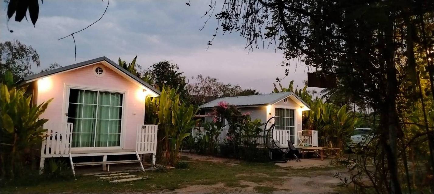 บ้านพร้อมที่ดิน215ตรว 3.5ล้าน 18