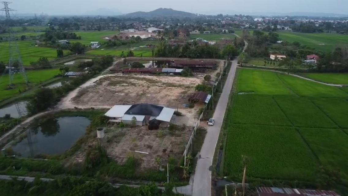 pcr2613 ขายบ้านพร้อมที่ดิน เนื้อที่ 10ไร่ 1งาน 93ตรว. เพียง 8,000,000บาท ต.เมืองพาน อ.พาน จ.เชียงราย 3