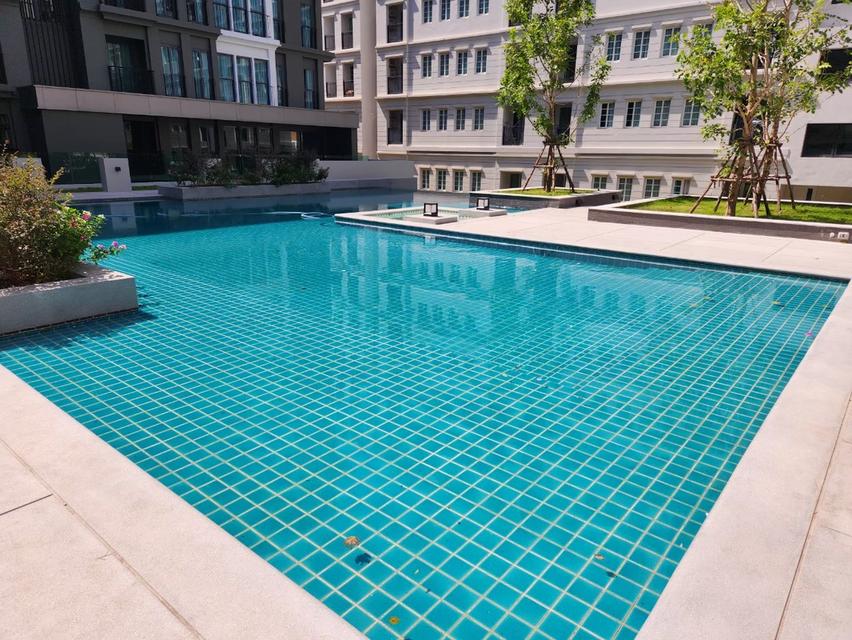 ❌ขายด่วน ❌ คอนโด Chamonix Condo วิวภูเขา 11