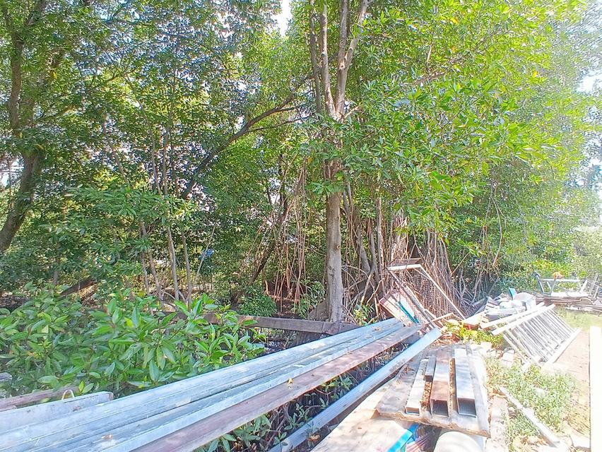 ขายที่ดิน 4 ไร่ 29 ตารางวา ซอยเทศบาลคลองด่าน 8/5 ตำบลคลองด่าน อำเภอบางบ่อ จังหวัดสมุทรปราการ 2