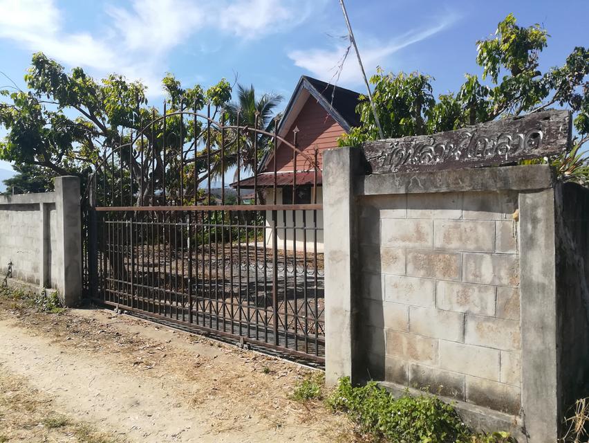 ขายที่ดิน+บ้านสวน อำเภอแม่ริม จังหวัดเชียงใหม่ บรรยากาศธรรมชาติสโลว์ไลฟ์ เหมาะทำคาเฟ่ รีสอร์ท ฟาร์มสเตย์ และธุรกิจเกษตร 1