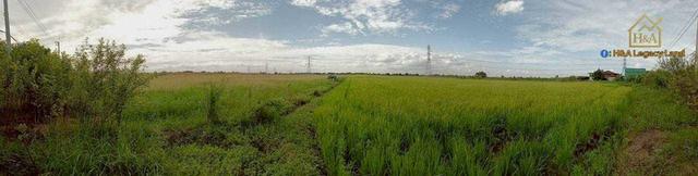  ขายที่ดินเปล่าแปลงสวย ติดถนนใหญ่ อย.3006 ลาดบัวหลวง–ไม้ตรา อ.ลาดบัวหลวง จ.พระนครศรีอยุธยา 30-3-74 ไร่ 4