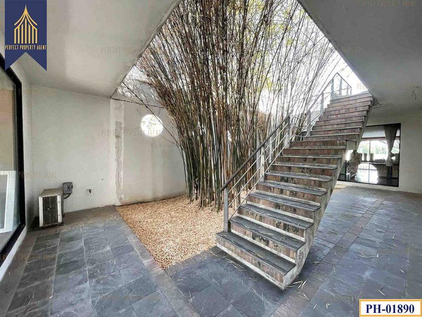 ขายที่ดิน ติดแม่น้ำบางปะกง พร้อมโครงการ คันทรี มารีน่า ซิตี้ บางปะกง บางนาตราด 9