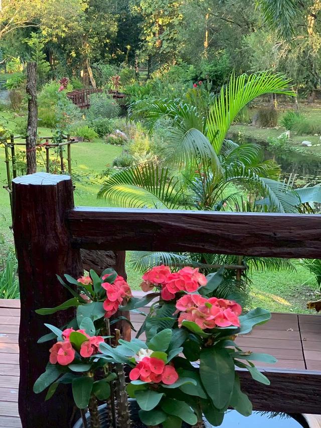 ขายที่ดินพร้อมสิ่งปลูกสร้าง บ้านไม้สักพร้อมสวน 20 ไร่ 2 งาน 59 ตร.ว. ทิศใต้ติดเนินเขา ชะอม แก่งคอย สระบุรี 12