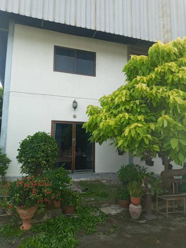 โรงงานพร้อมห้องเช่า 2