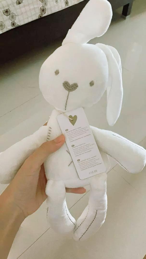 ขาย ตุ๊กตากระต่าย EVOLI Baby Huggable Bunny