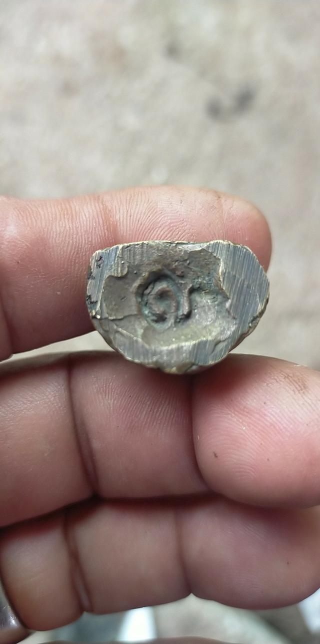 พ่อท่านคล้ายอุขวางออกวัดกรูดสุราษฏร์ธานี์ 3