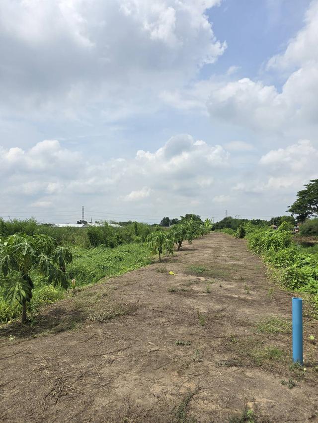 ที่ดิน จังหวัด นครปฐม 4