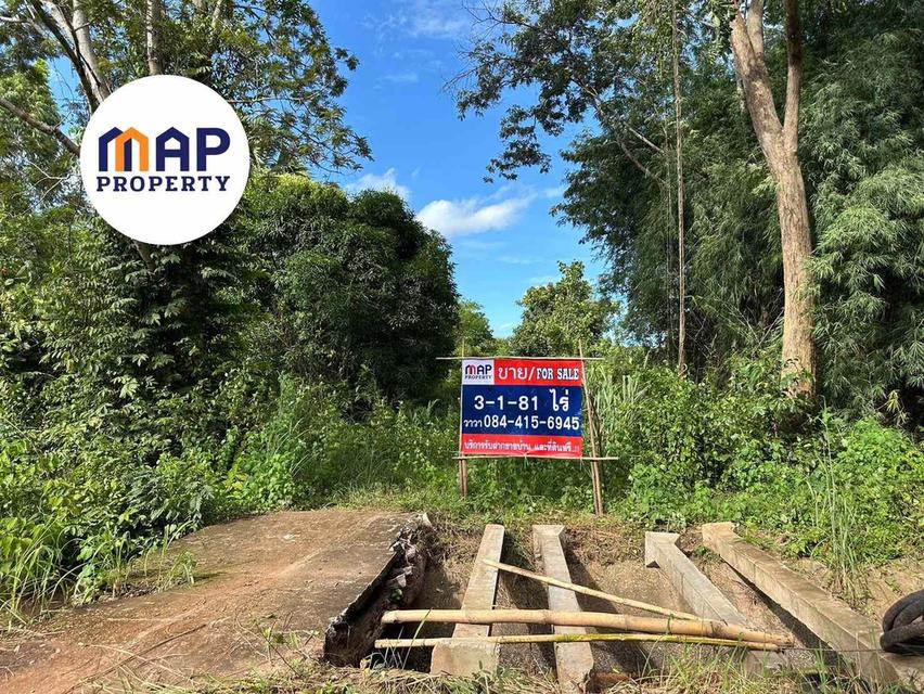 เนรมิต "บ้านสวน" ในฝัน! ที่ดินผืนงาม 3 ไร่กว่า บรรยากาศร่มรื่น ใกล้ชิดธรรมชาติ เอาใจนักท่องเที่ยว 5
