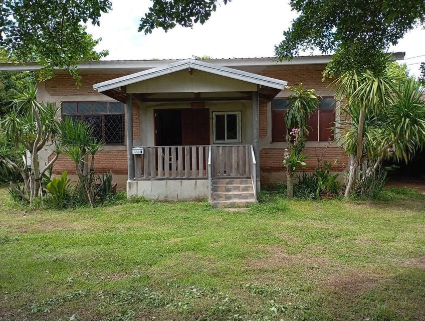 ขายบ้านสวนพร้อมที่ดินอำเภอจักราชจังหวัดนครราชสีมา บ้านหนองคล้าถนนเทศบาล20ซอย4 รูปที่ 2